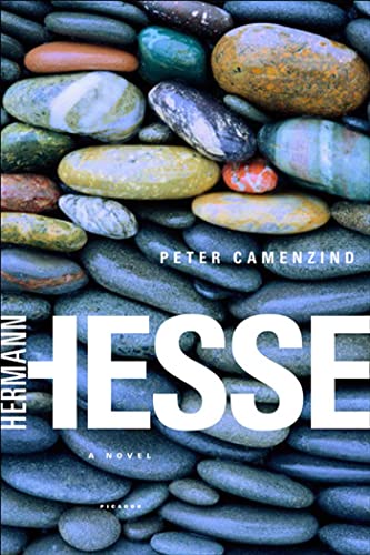 9780312422639: Peter Camenzind: A Novel