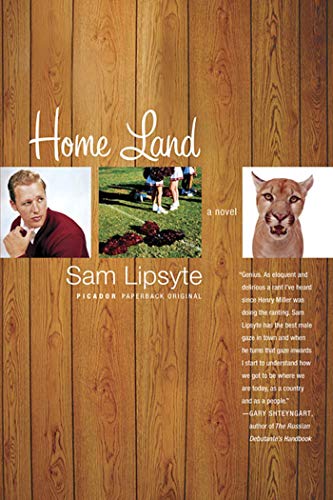 Beispielbild fr Home Land: A Novel zum Verkauf von SecondSale