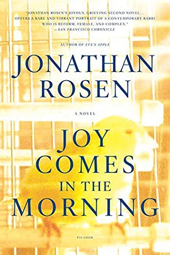 Imagen de archivo de Joy Comes in the Morning: A Novel a la venta por SecondSale