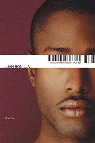 9780312426866: The Nubian Prince: A Novel