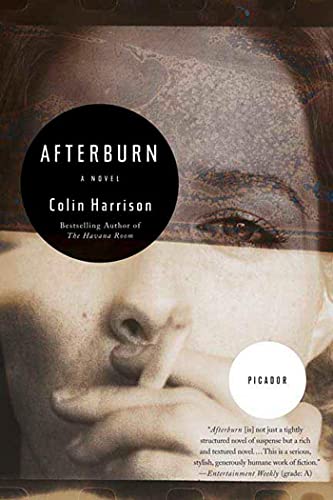 Beispielbild fr Afterburn: A Novel zum Verkauf von Wonder Book