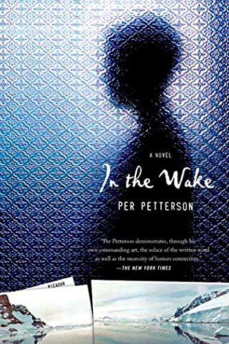 9780312427047: In the Wake: A Novel