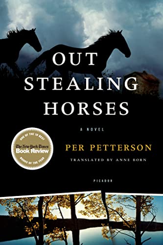 Stock image for Out Stealing Horses for sale by Lorrin Wong, Bookseller