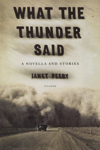 Stock image for What the Thunder Said: A Novella and Stories for sale by -OnTimeBooks-