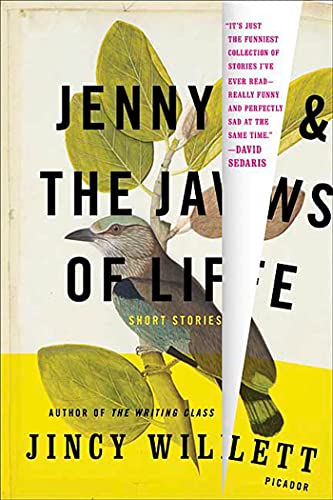 9780312428105: Jenny and the Jaws of Life: Short Stories