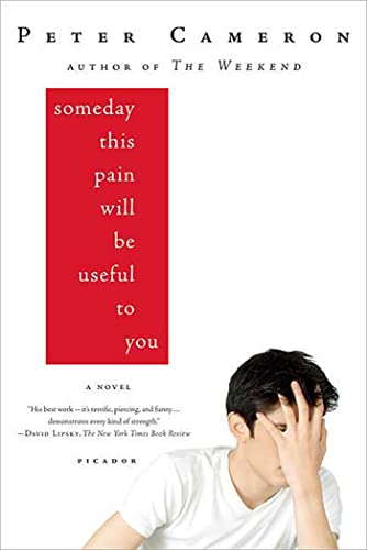 Beispielbild fr Someday This Pain Will Be Useful to You: A Novel zum Verkauf von Wonder Book