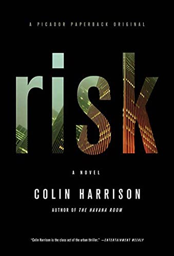 Stock image for Risk: A Novel for sale by SecondSale