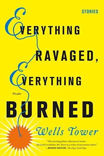 9780312429294: Everything Ravaged, Everything Burned: Stories