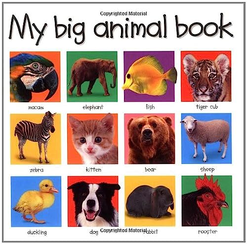 Imagen de archivo de My Big Animal Book (Priddy Bicknell Big Ideas for Little People) a la venta por BookHolders