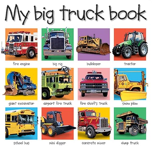 9780312490850: My Big Truck Book