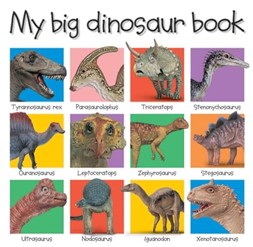 Imagen de archivo de My Big Dinosaur Book (Priddy Books Big Ideas for Little People) a la venta por SecondSale