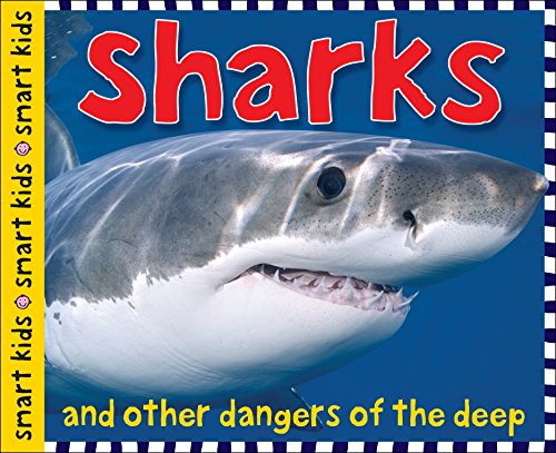 Imagen de archivo de Sharks (Smart Kids) a la venta por BookOutlet