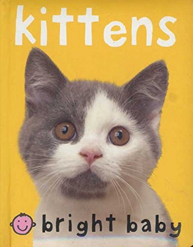 Beispielbild fr Bright Baby Kitten zum Verkauf von Better World Books