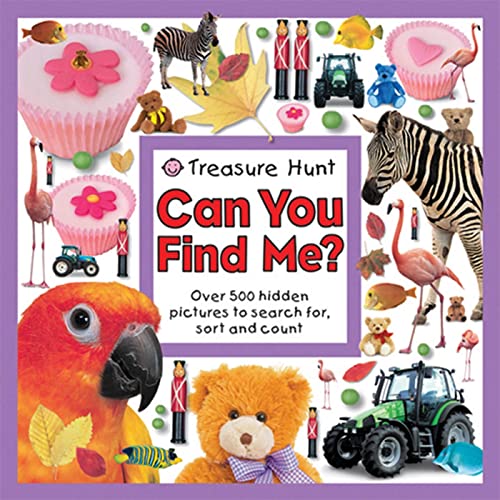 Stock image for Treasure Hunt Can You Find Me? (Seek and Find Book) for sale by Zoom Books Company