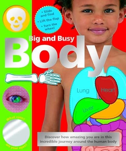 Big and Busy Body (9780312502249) by Priddy, Roger