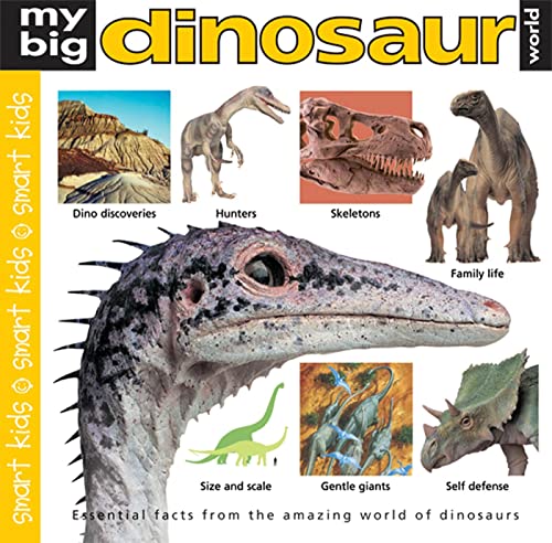 9780312502355: My Big Dinosaur World