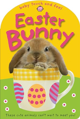Imagen de archivo de Easter Bunny (Baby Touch and Feel) a la venta por Your Online Bookstore