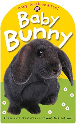9780312506063: Baby Bunny: These Cute Animals Can't Wait to Meet You! (Baby Touch and Feel)