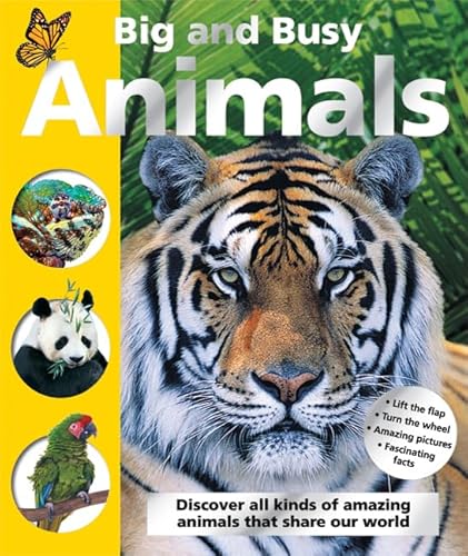 Big and Busy Animals (9780312506094) by Priddy, Roger