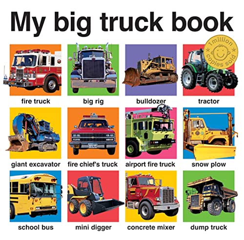 9780312511067: My Big Truck Book