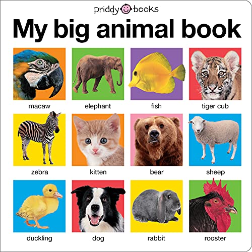 Stock image for My Big Animal Book (My Big Board Books) for sale by SecondSale