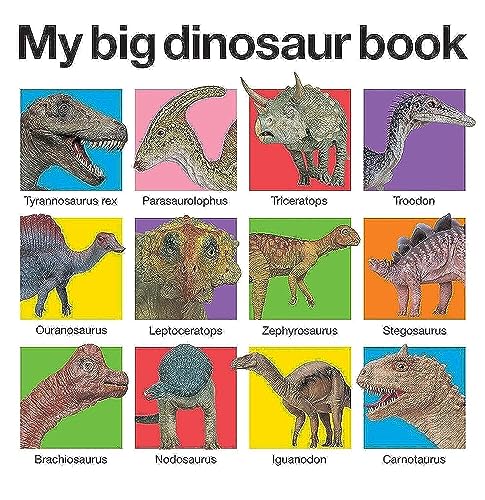 Imagen de archivo de My Big Dinosaur Book a la venta por Blackwell's