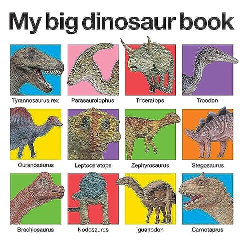 9780312513061: My Big Dinosaur Book