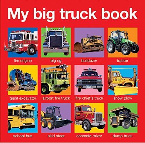 9780312513689: My Big Truck Book