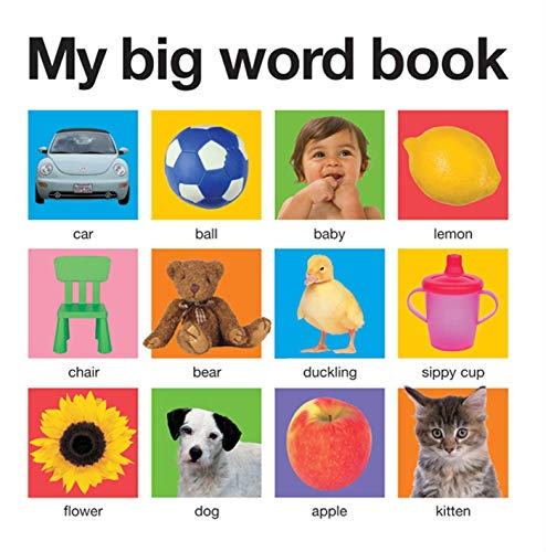 Beispielbild fr My Big Word Book (casebound) zum Verkauf von Better World Books