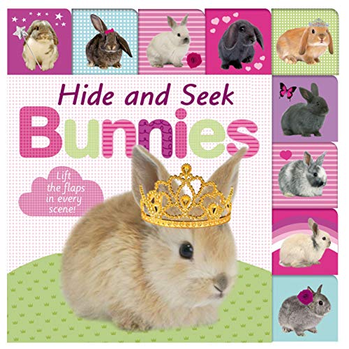 Stock image for Lift-the-Flap Tab: Hide and Seek Bunnies (Lift-the-Flap Tab Books) for sale by Gulf Coast Books