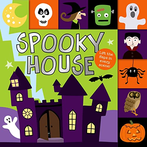 9780312518684: Spooky House
