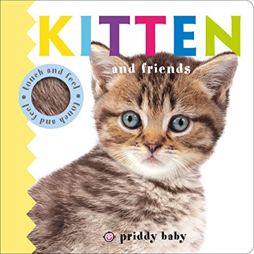 Beispielbild fr Kitten and Friends (Baby Touch and Feel) zum Verkauf von AwesomeBooks