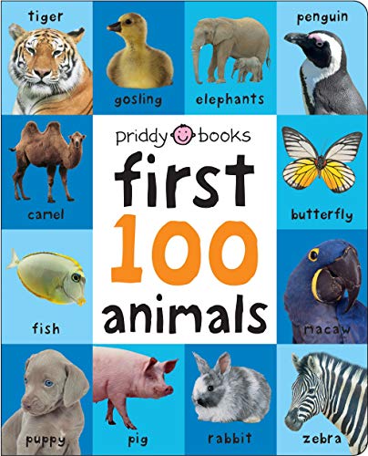 Stock image for First 100 Animals Padded (large) for sale by Goodwill