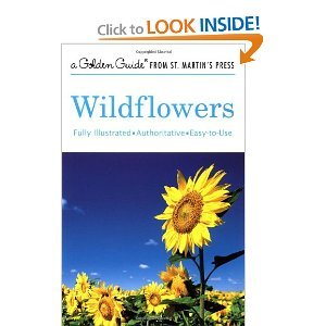 Beispielbild fr A Golden Guide From St. Martins Press - Wildflowers Revised And Updated zum Verkauf von Terrace Horticultural Books