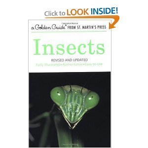 Imagen de archivo de Insects (Golden Guide) a la venta por Better World Books