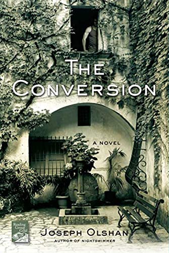 9780312565565: The Conversion: A Novel