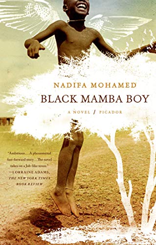 Stock image for Black Mamba Boy: A Novel for sale by SecondSale