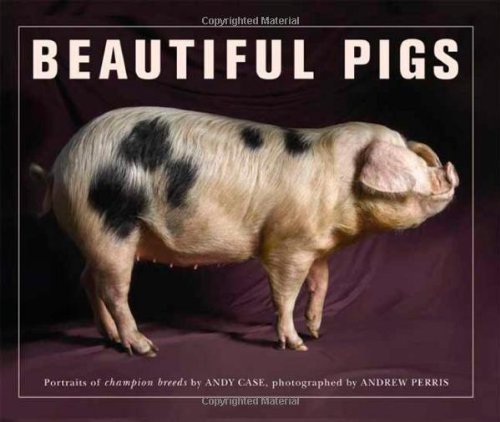 Imagen de archivo de Beautiful Pigs: Portraits of Champion Breeds a la venta por SecondSale