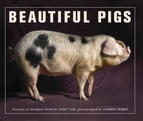 9780312585969: Beautiful Pigs: Portraits of Champion Breeds