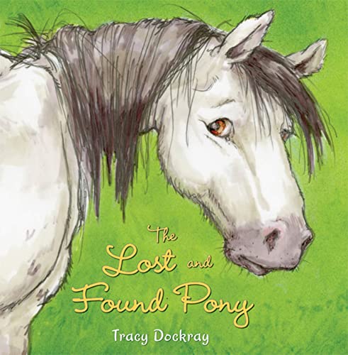 Beispielbild fr The Lost and Found Pony zum Verkauf von Better World Books