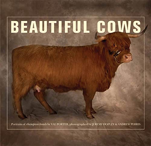 Stock image for Beautiful Cows for sale by Reliant Bookstore