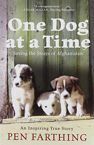 Imagen de archivo de One Dog at a Time : Saving the Strays of Afghanistan a la venta por Better World Books