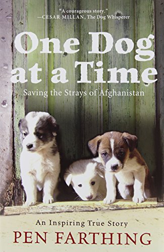 Stock image for One Dog at a Time : Saving the Strays of Afghanistan for sale by Better World Books