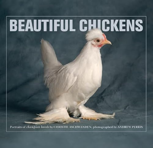 Imagen de archivo de Beautiful Chickens a la venta por ThriftBooks-Atlanta