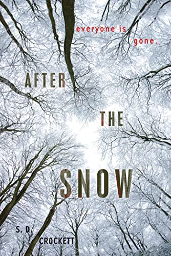 Stock image for After the Snow for sale by Better World Books