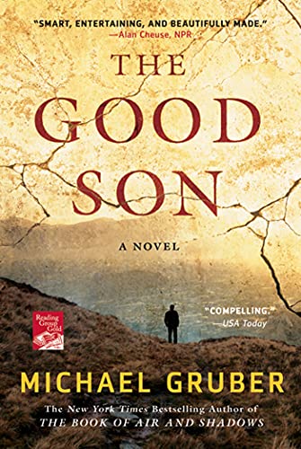 9780312674946: The Good Son: A Novel