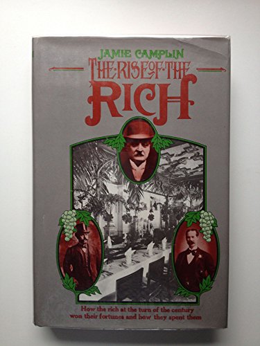 Imagen de archivo de The Rise of the Rich a la venta por Bookmarc's