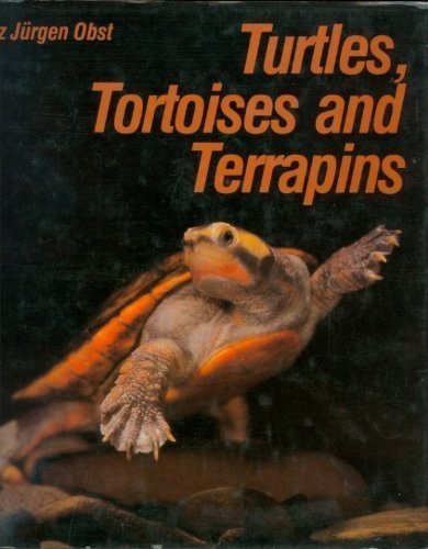 Stock image for Turtles, Tortoises, and Terrapins for sale by GF Books, Inc.