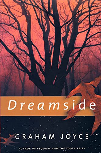 Stock image for Dreamside for sale by Better World Books: West