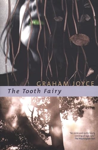 Imagen de archivo de The Tooth Fairy a la venta por Wonder Book